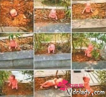 校园花坛吃瓜,瓜香四溢的夏日时光