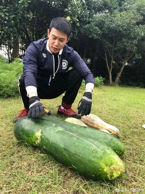 两小孩田间吃瓜,两小孩的欢乐时光