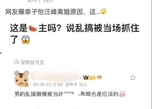 离婚吃瓜文案,娱乐圈的瓜田，谁主沉浮？