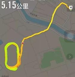 吃瓜群众专用号,吃瓜群众专用号带你领略幕后风云