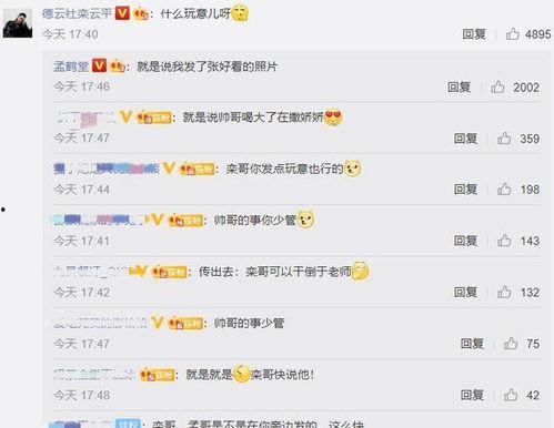 评论吃瓜怎么回复,评论中的瓜田效应解析