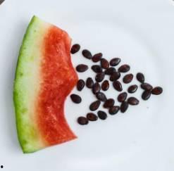 吃瓜要吃籽吗,揭秘瓜籽的奥秘与食用技巧